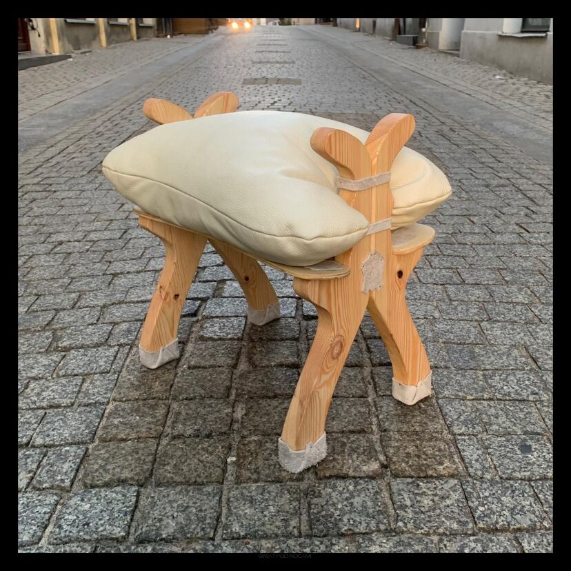 Koziołek dwurogowy biały